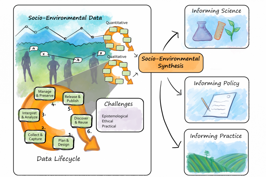 Qualitative vs Quantitative Research: What’s the Difference? visual data 8